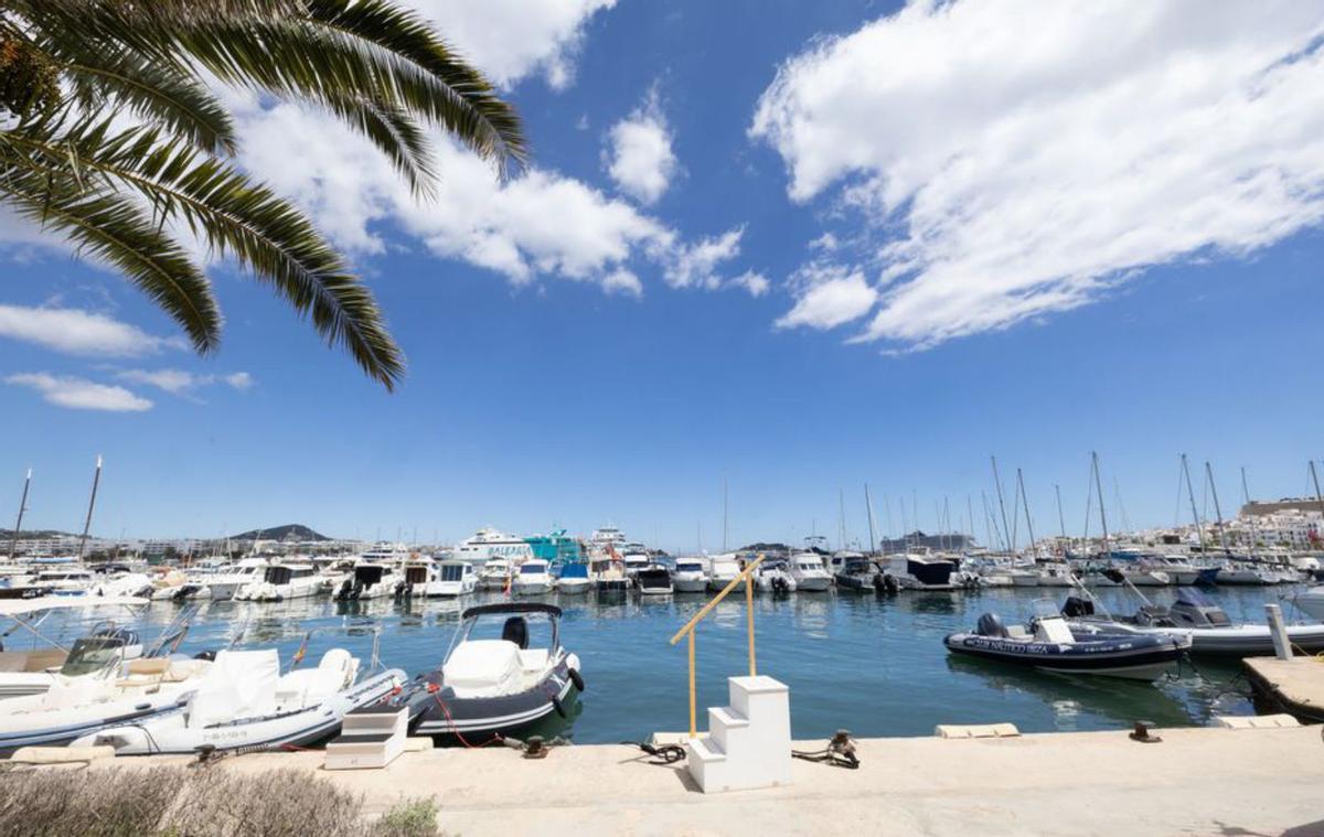 Los amarres de pequeña eslora del muelle ribera de poniente. | VICENT MARÍ