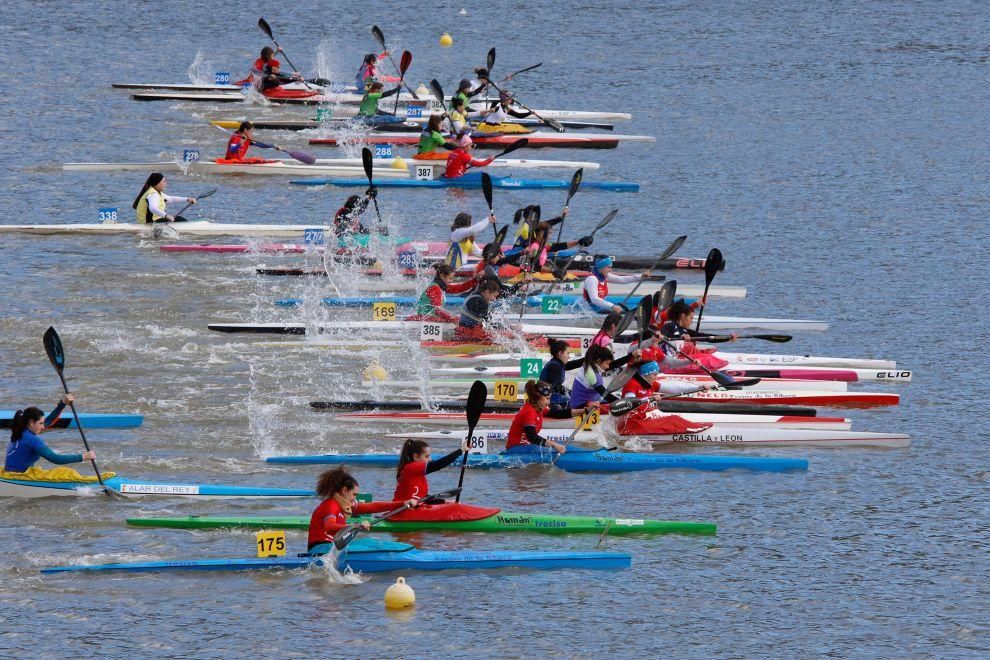 Zamora protagonista campeonato Castilla y León