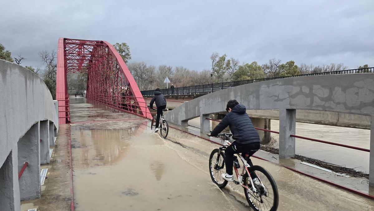 El río Guadalquivir a su paso por el puente de Villafrancaes