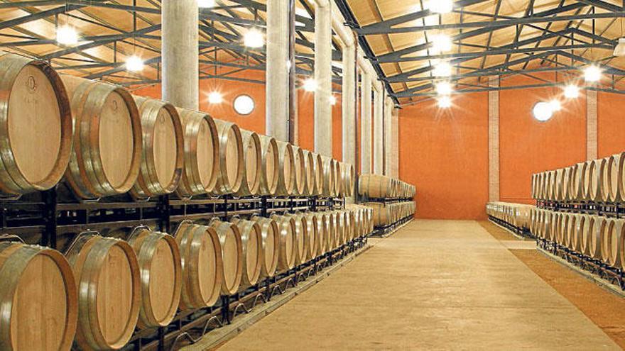 Las instalaciones de Bodegas Nubori, destinadas al almacenamiento y producción de vinos, fueron remplazadas por nuevos equipos en el año 2005.