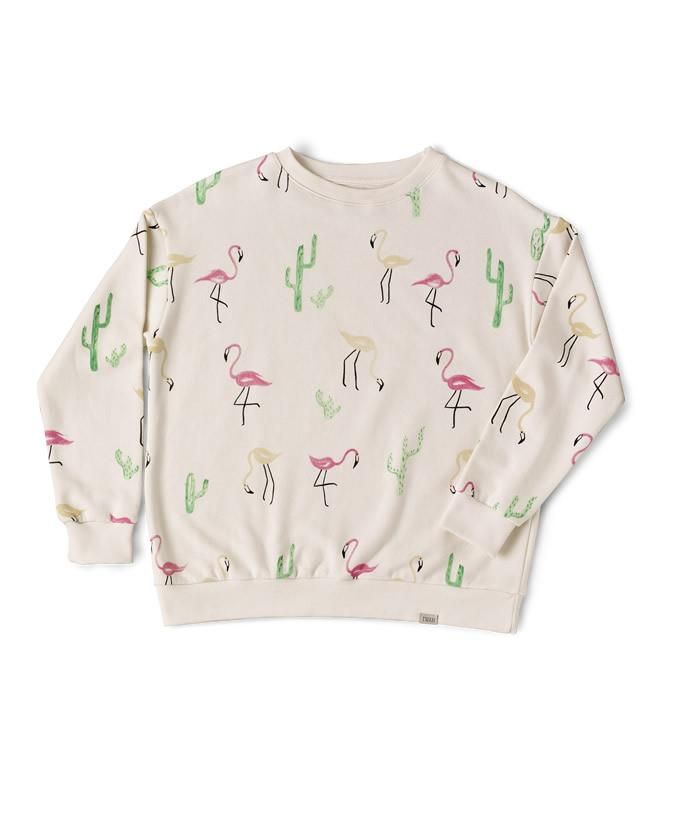 Sudadera flamencos, Ewan