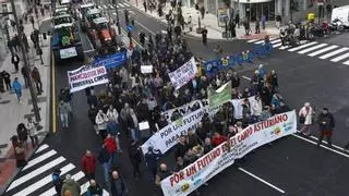 Vuelven las concentraciones del campo asturiano: se convoca una nueva movilización en Oviedo