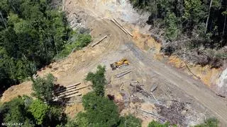 Brasil impulsa una gran carretera que partirá el Amazonas en dos