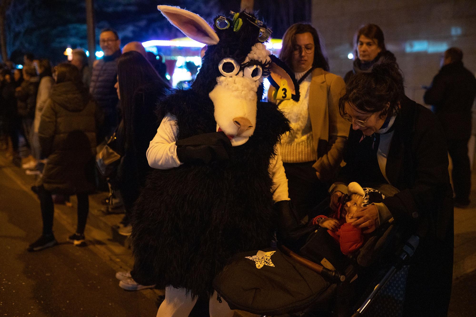 GALERÍA | Las mejores imágenes del desfile final de Carnaval en Zamora