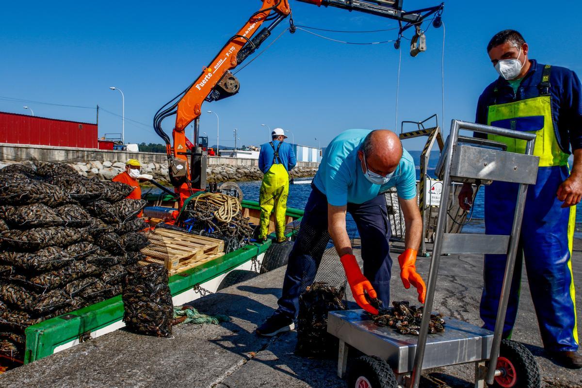 Control de calidad en el puerto.