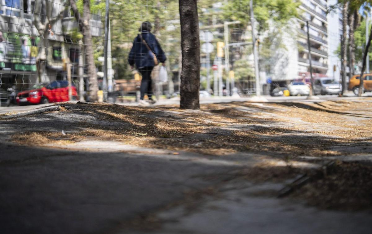 BCN gastarà 1,2 milions a reparar les esquerdes de la rambla de Guipúscoa