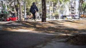 BCN gastarà 1,2 milions a reparar les esquerdes de la rambla de Guipúscoa