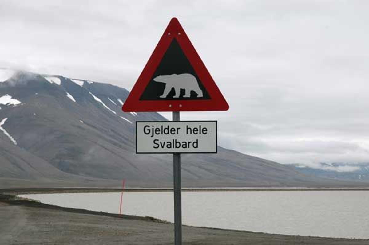 Señal de cuidado con los osos polares en las Svalbard.