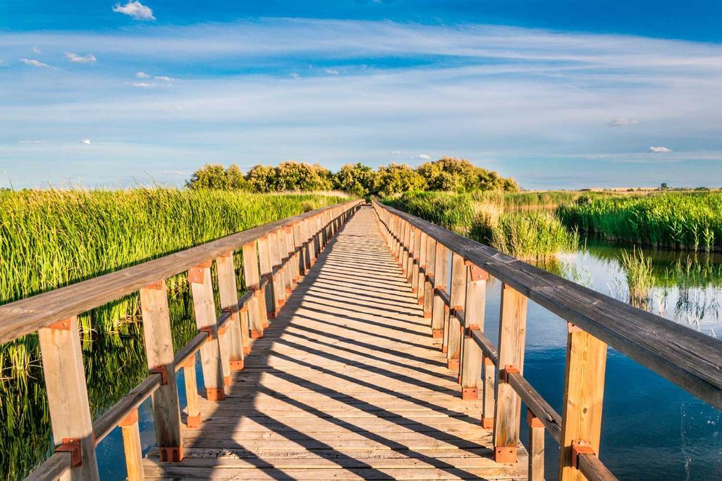 Pasarela Tablas de Daimiel