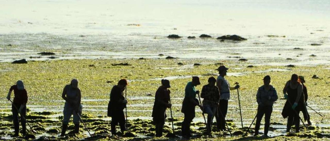 Mariscadoras de Vilanova de Arousa, en el arenal. // Iñaki Abella