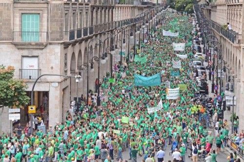 Palma im Zeichen der "grünen Flut"