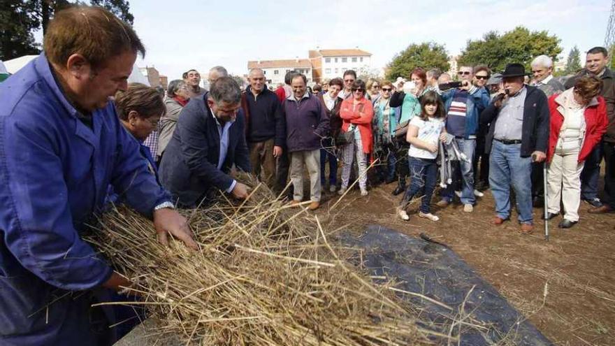 Fernández, en primer plano, y Cuíña, tercero por la izquierda, en la Malla Tradicional. // Bernabé/Gutier