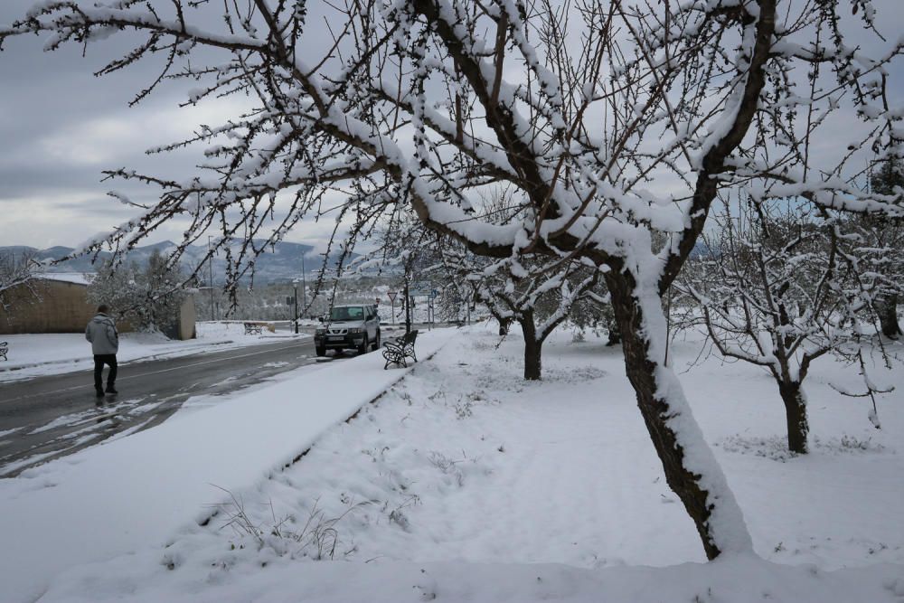 La nieve cubre la comarca de l'Alcoià