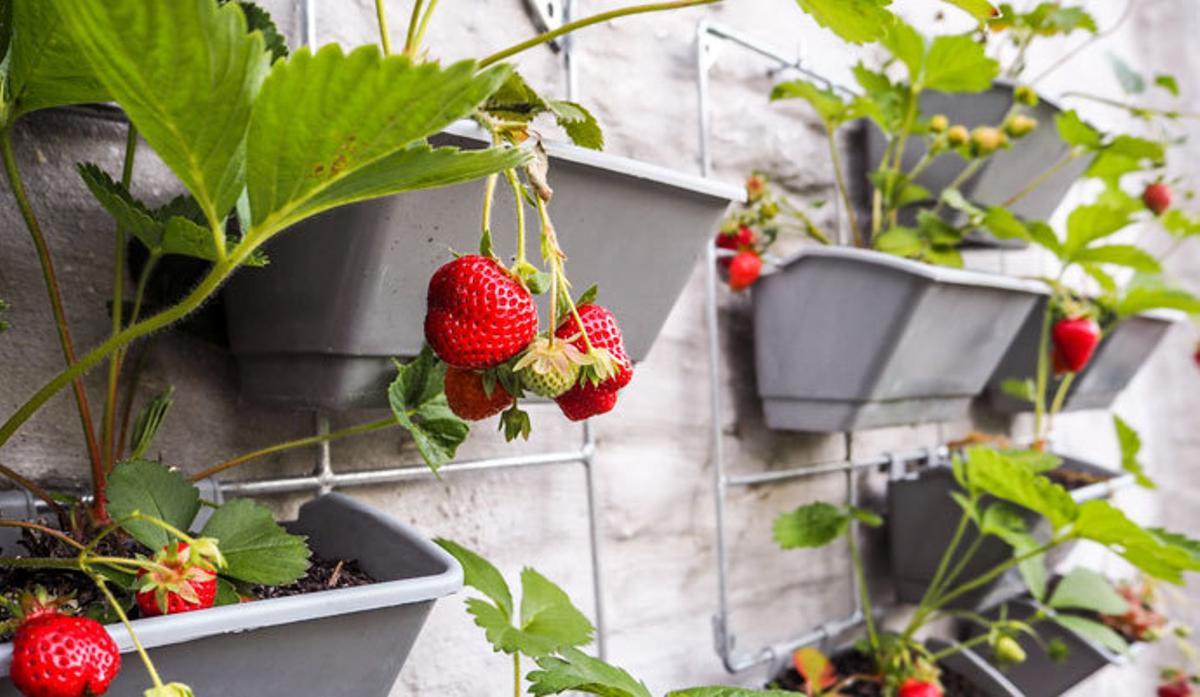 5 ideas decorativas para llevar la primavera a tu casa