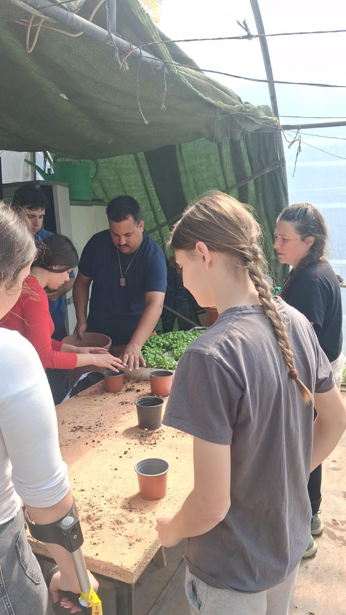 Estudiants de l'IES Enric Valor de Picanya han visitat l'hort de l'associació Bona Gent en Alboraia