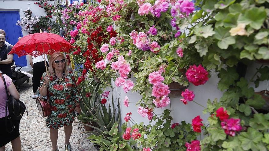 Sábado de patios ganadores