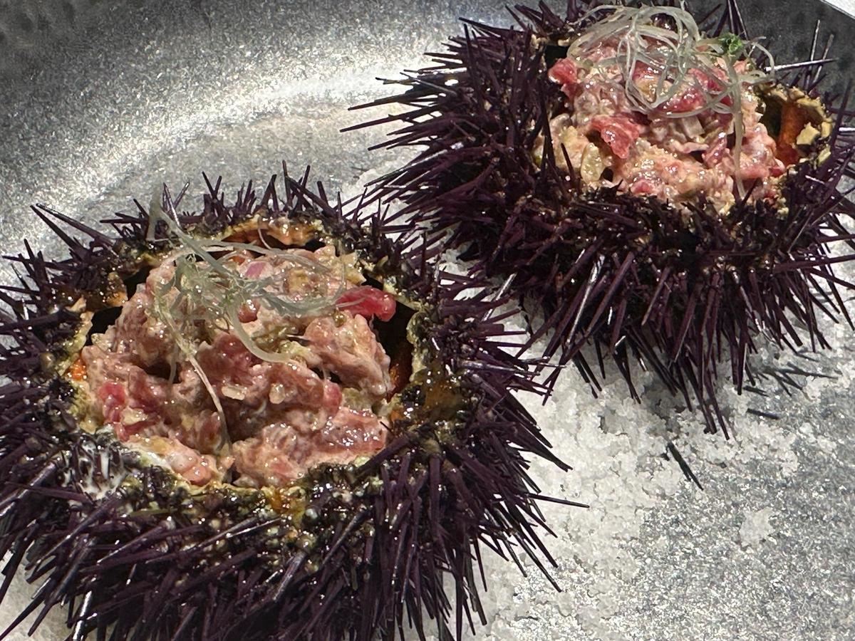 Steak tartar y erizo