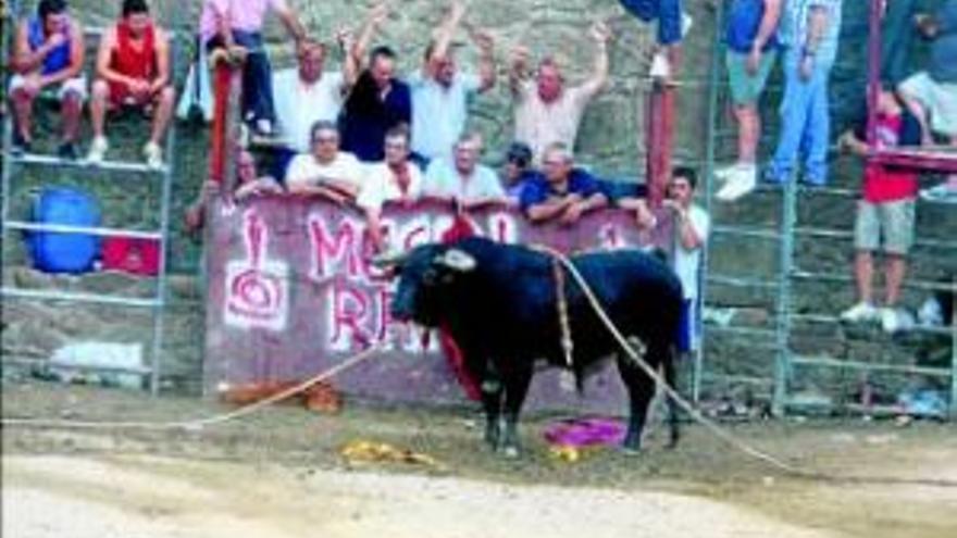 Aldeanueva recuperará la lidia tradicional con toros ´en puntas´