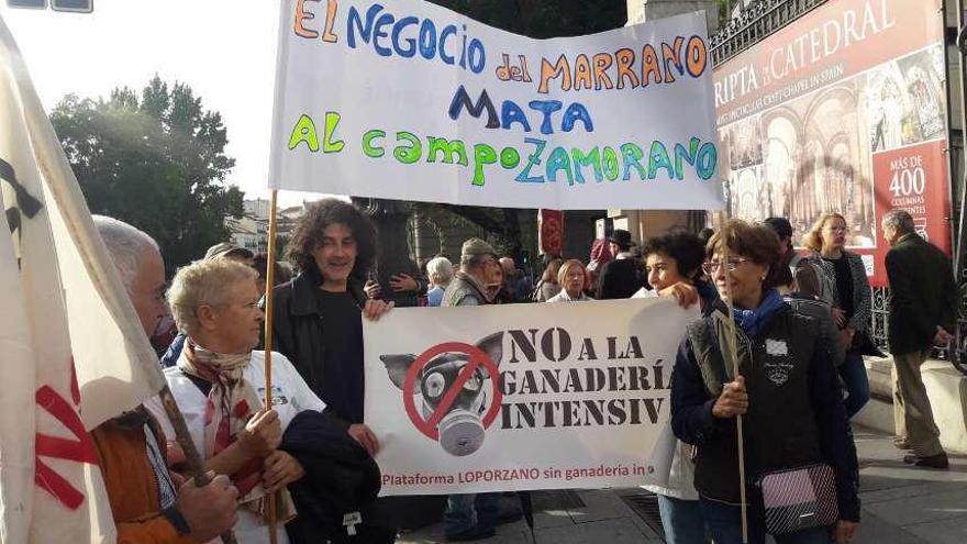 Las plataformas zamoranas contra las macrogranjas marchan por Madrid.