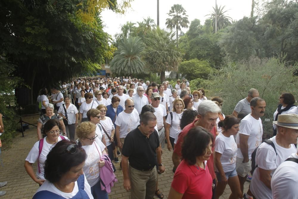 Paseo saludable por el Día Internacional de las Personas Mayores