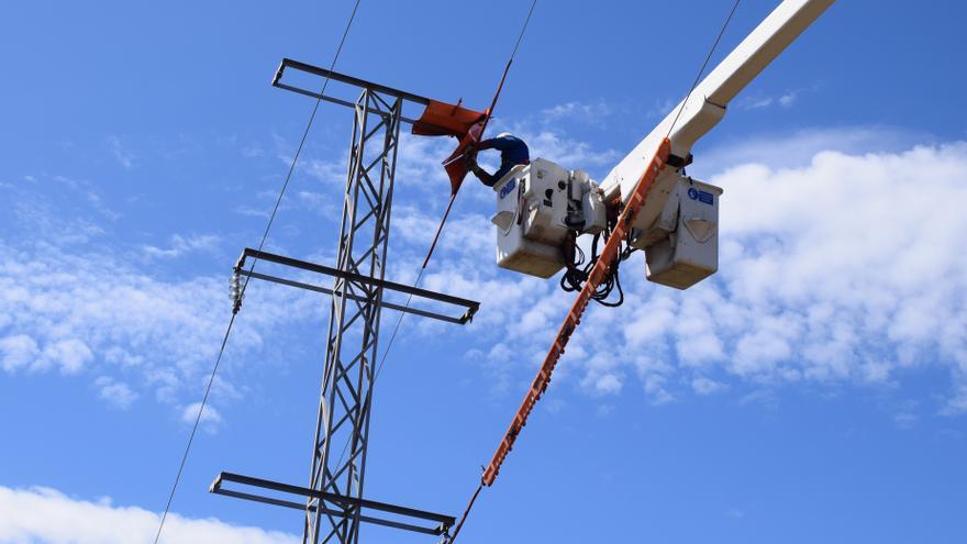 Técnicos de Endesa revisan y adaptan puntos de la red para proteger a la avifauna de Málaga en la línea Almogía, cerca de los Montes de Málaga