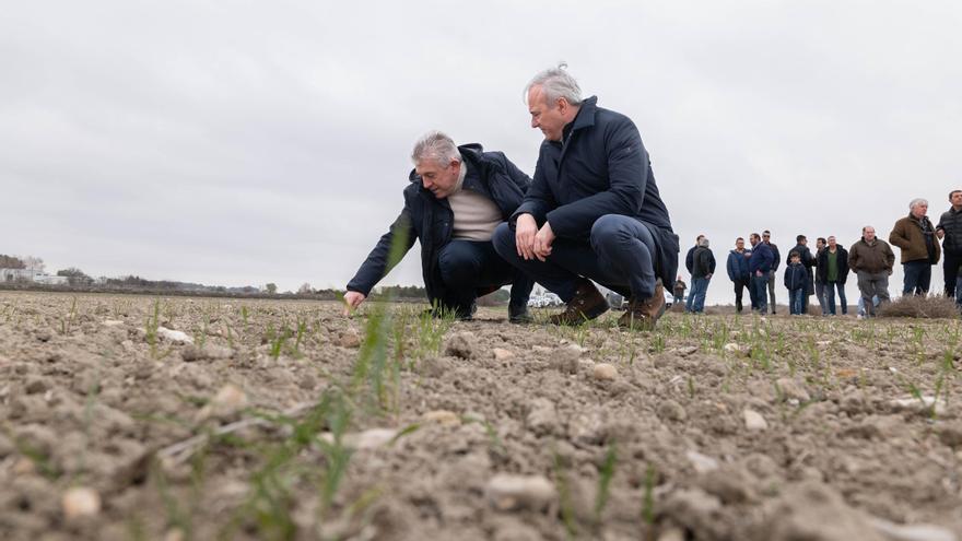 Azcón vuelve a reivindicar el presupuesto de Agricultura frente a la falta de ayudas directas