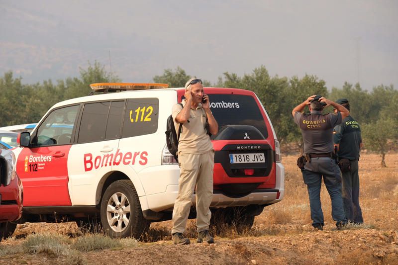 Declarado un incendio en una zona de barranco de Beneixama