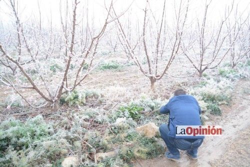 Helada del 17 de febrero de 2016 en Cieza