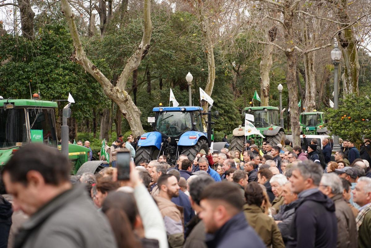 Protestas en la Plaza de España. Protestas en la Plaza de España.