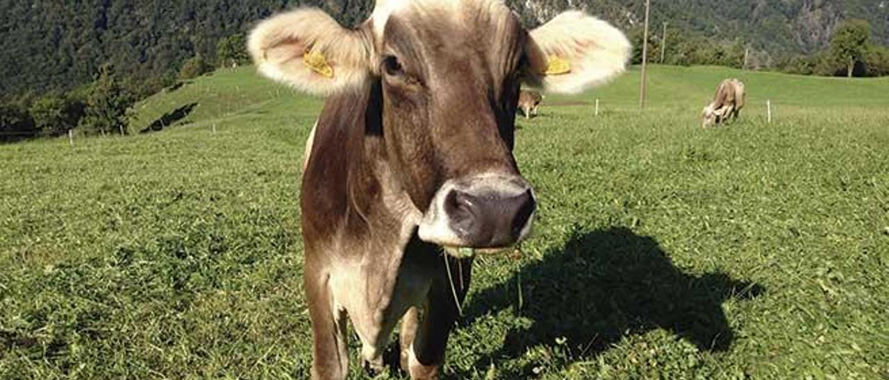 La agricultura ha sido reconocida por los premios.