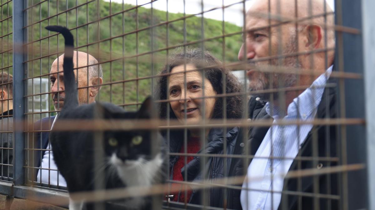 Pola esquerda, José Carlos Vidal, Belén do Campo e Manuel Durán, portavoz municipal do PP da Pobra, no refuxio de animais.