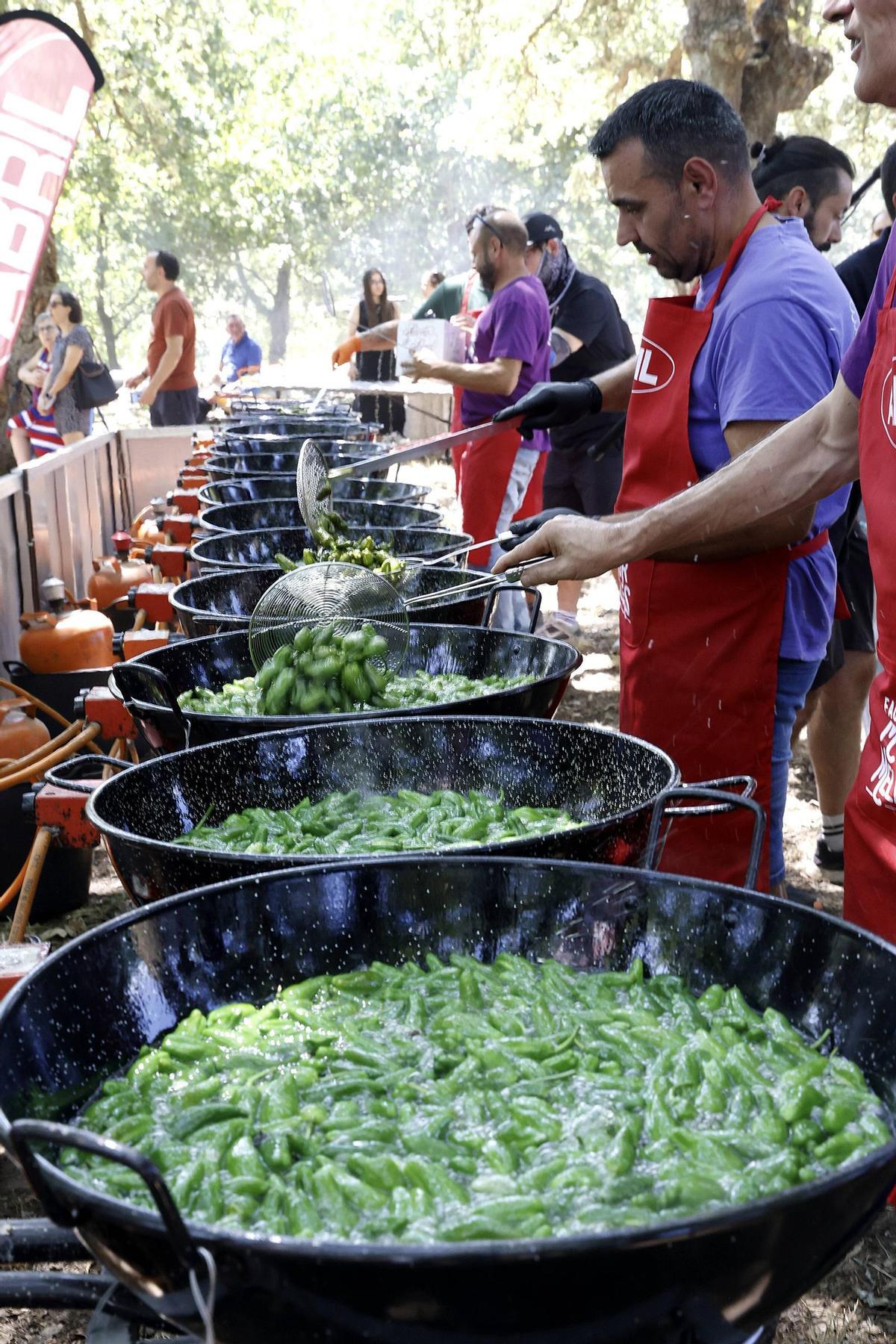 Padrón se rinde al pimiento de Herbón: 3.000 raciones para una fiesta multitudinaria Padrón se rinde al pimiento de Herbón: 3.000 raciones para una fiesta multitudinaria
