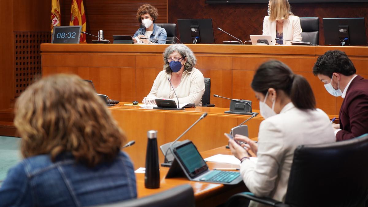 La directora general de Justicia del Gobierno de Aragón, María Ángeles Júlvez, en la comisión de Desarrollo Estatutario de las Cortes de Aragón, este lunes.