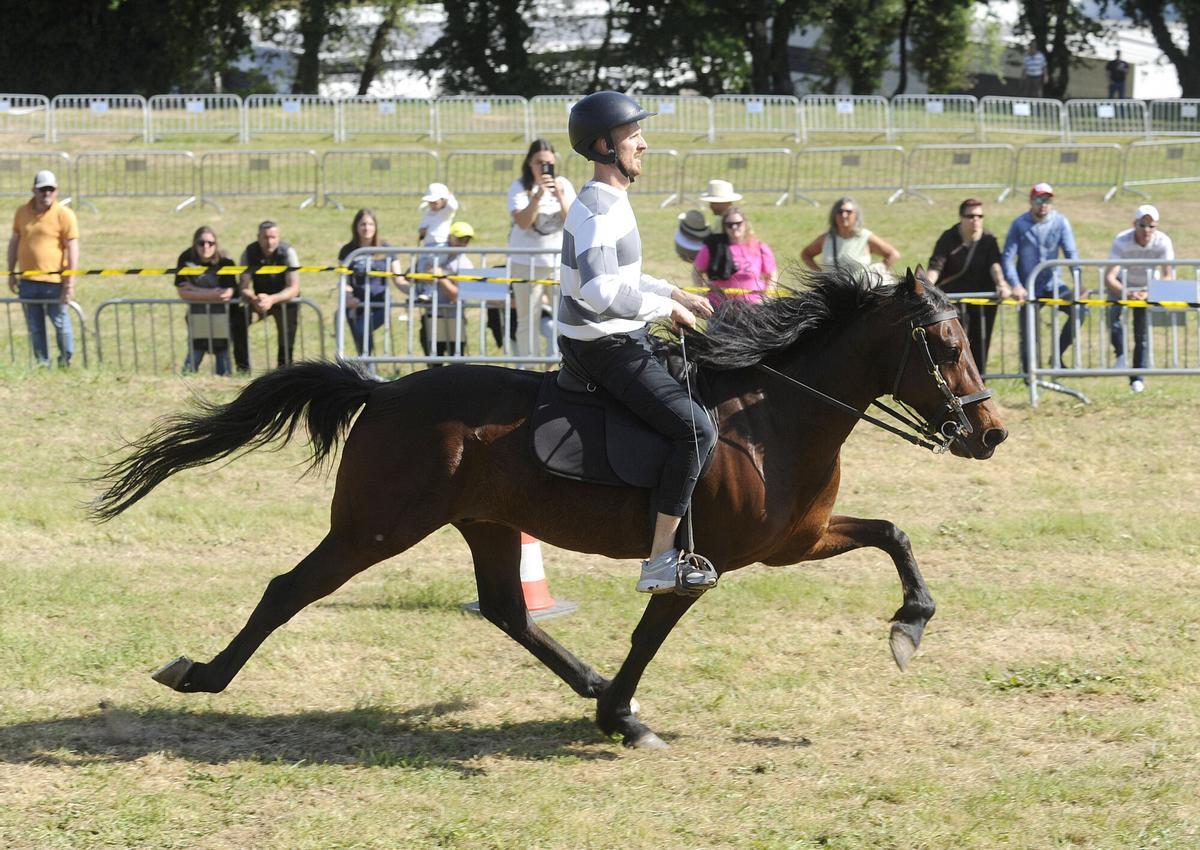 XXXVI Feira do Cabalo de Lalín, 2026