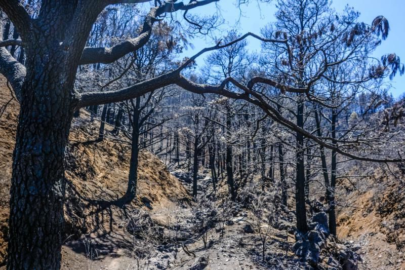 Consecuencias del incendio: De Valleseco a Artenar