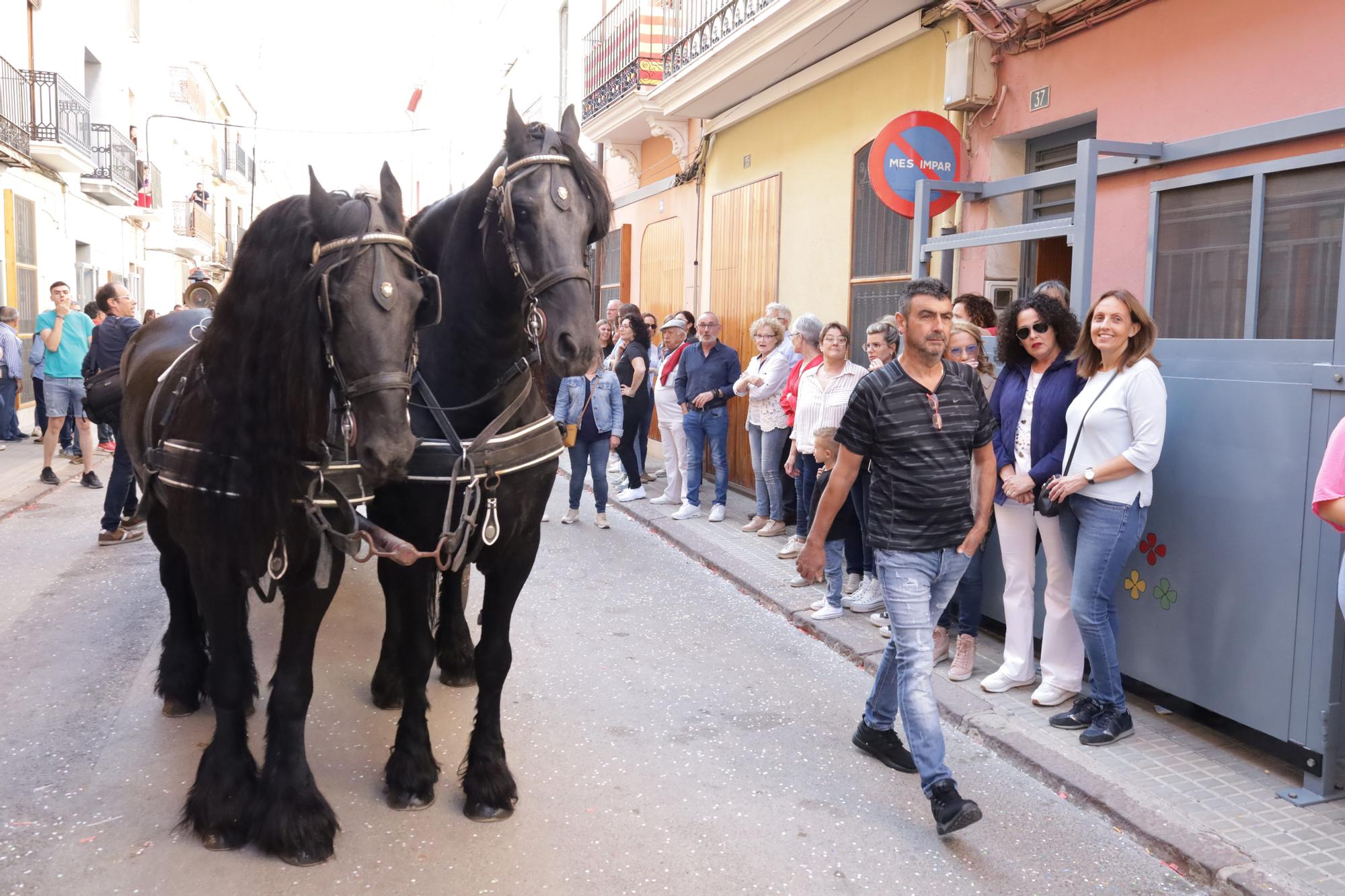 MACROGALERÍA DE FOTOS: Búscate en el encierro y los primeros 'bous' de las fiestas de Almassora