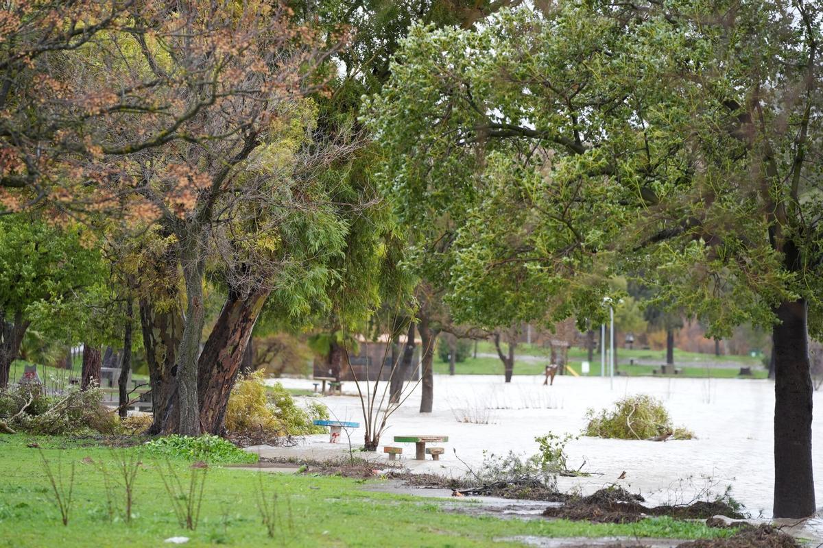 Zonas inundadas por las intensas lluvias de las últimas jornadas próximas a la localidad sevillana del Palmar de Troya