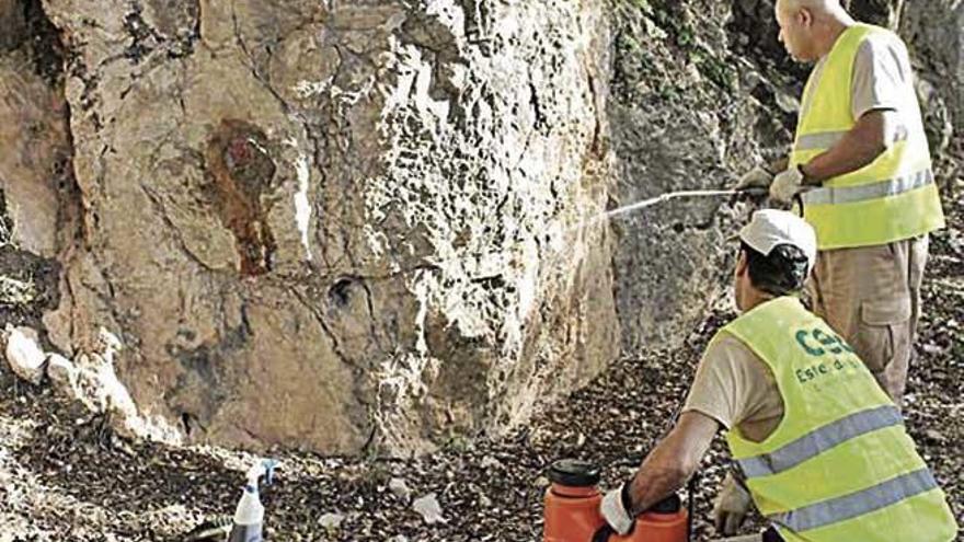 Reinigungsarbeiten in der Tramuntana