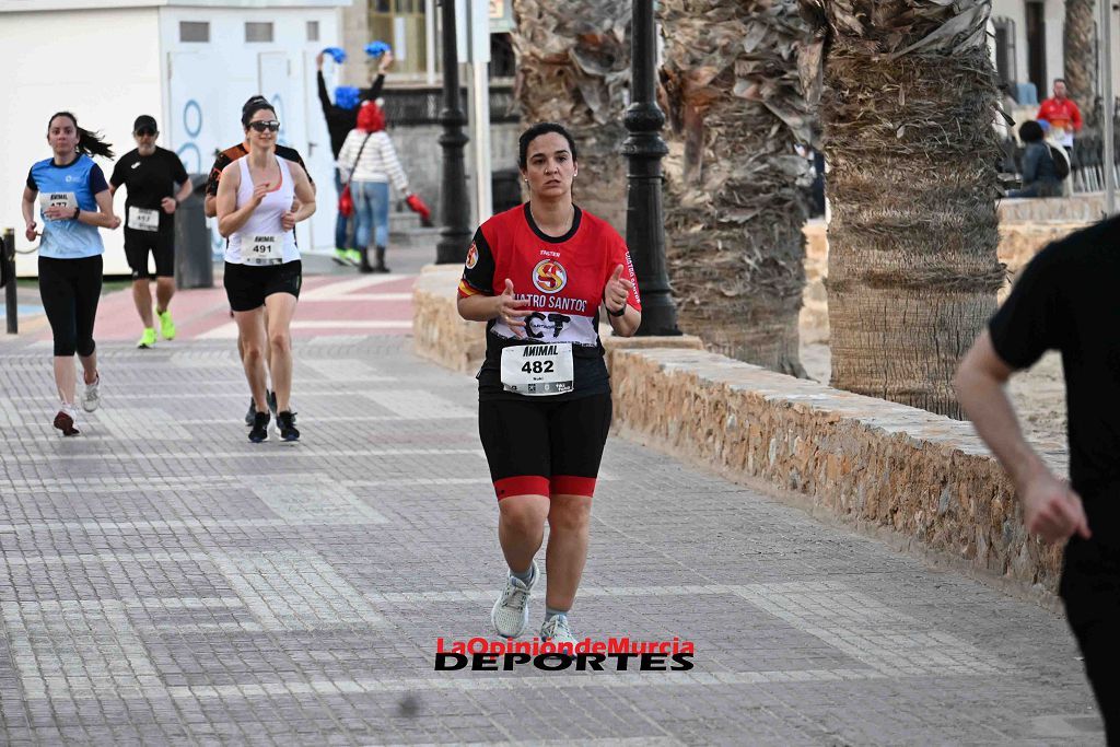 Carrera 5k Animal en Los Alcázares 2024 (II)