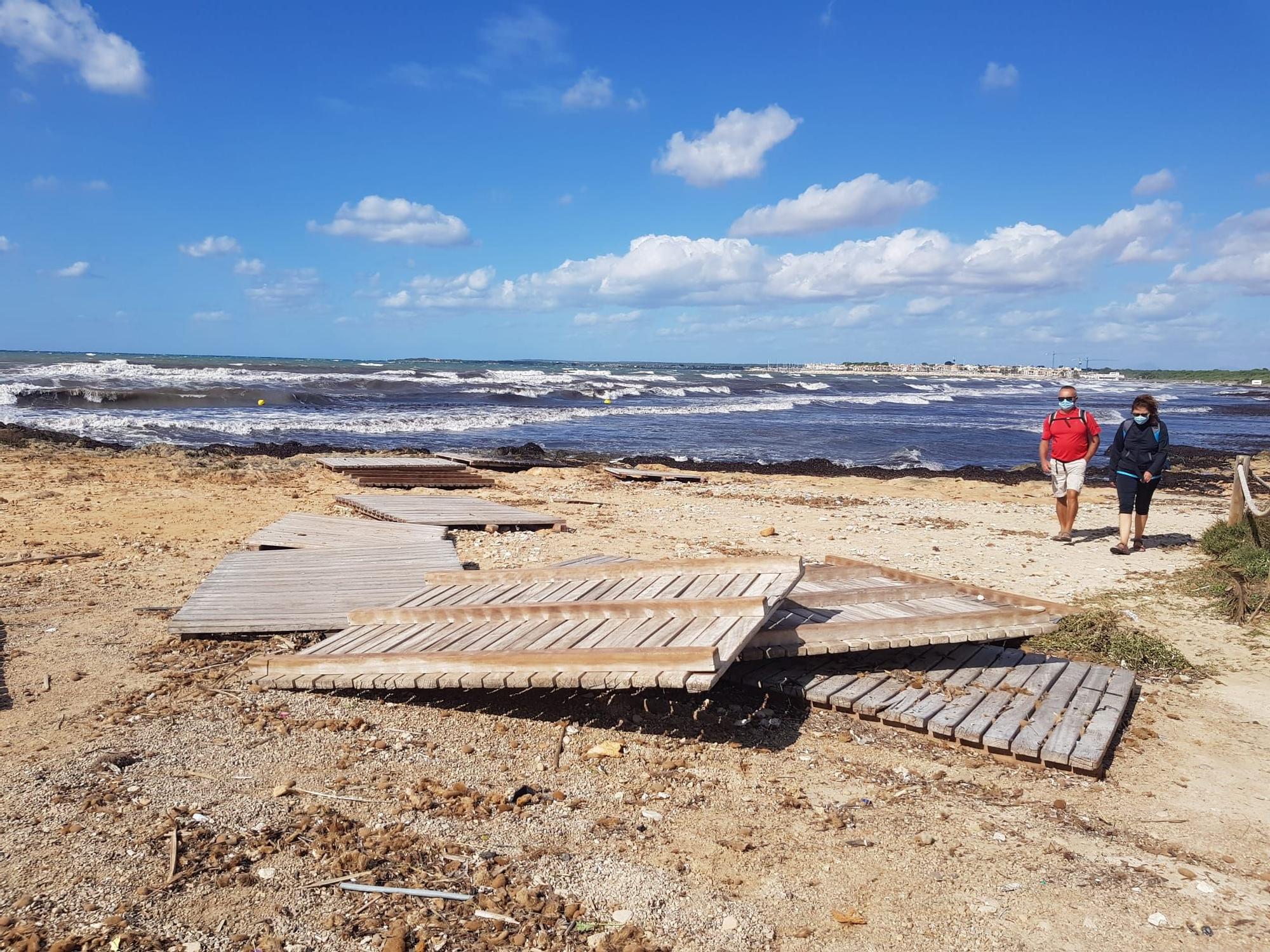 La borrasca Álex destroza las sombrillas de la playa de sa Ràpita