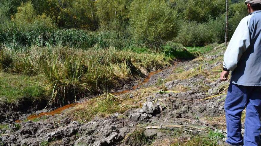 Un vecino muestra la salida al campo de las aguas fecales de San Martín de Castañeda.