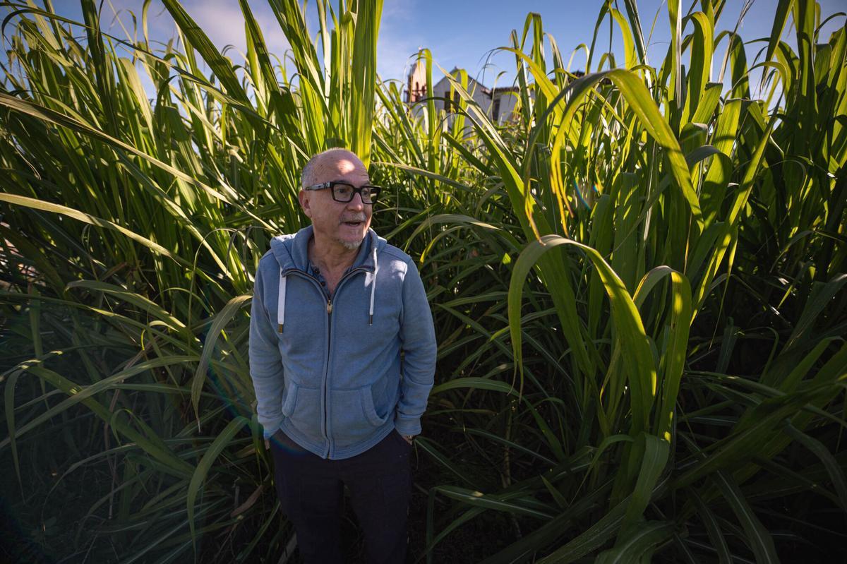 La única destilería de ron artesanal de Tenerife quiere producir un "objeto de deseo"