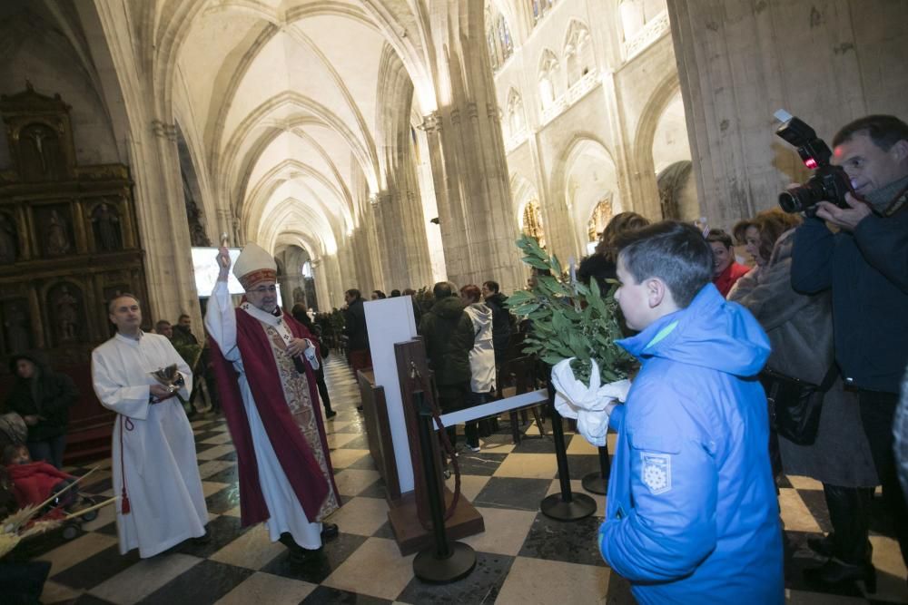 Domingo de Ramos en Oviedo