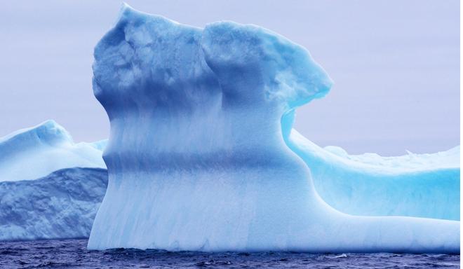 Iceberg, Terranova