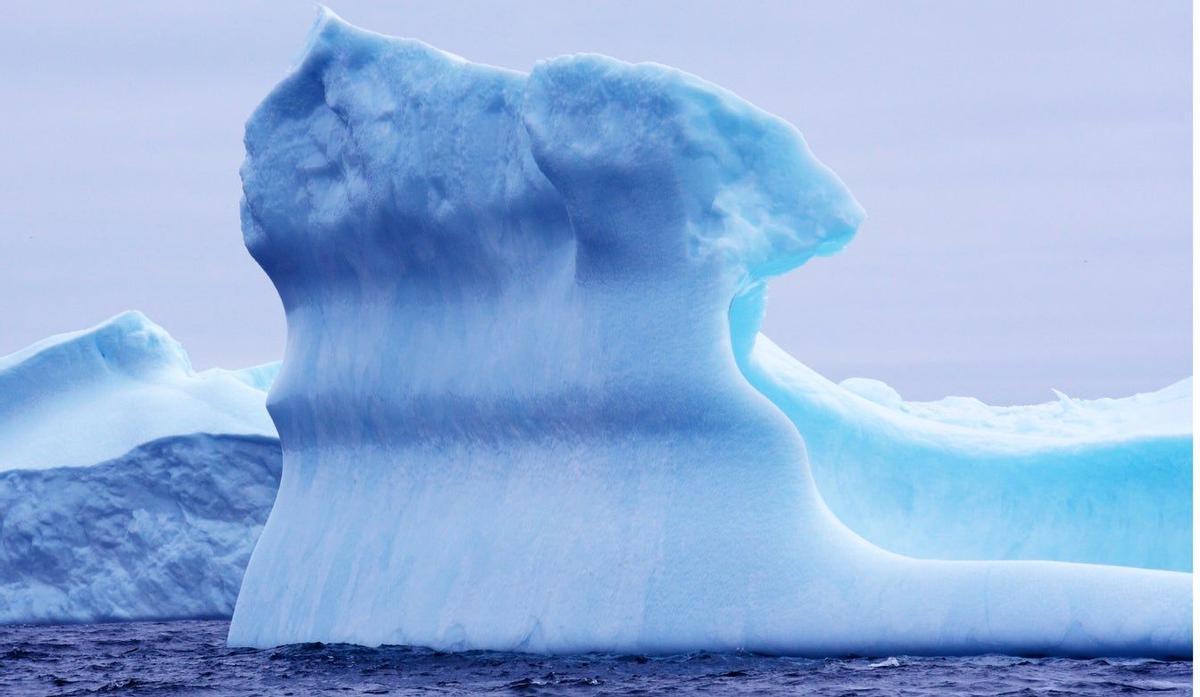 Iceberg, Terranova