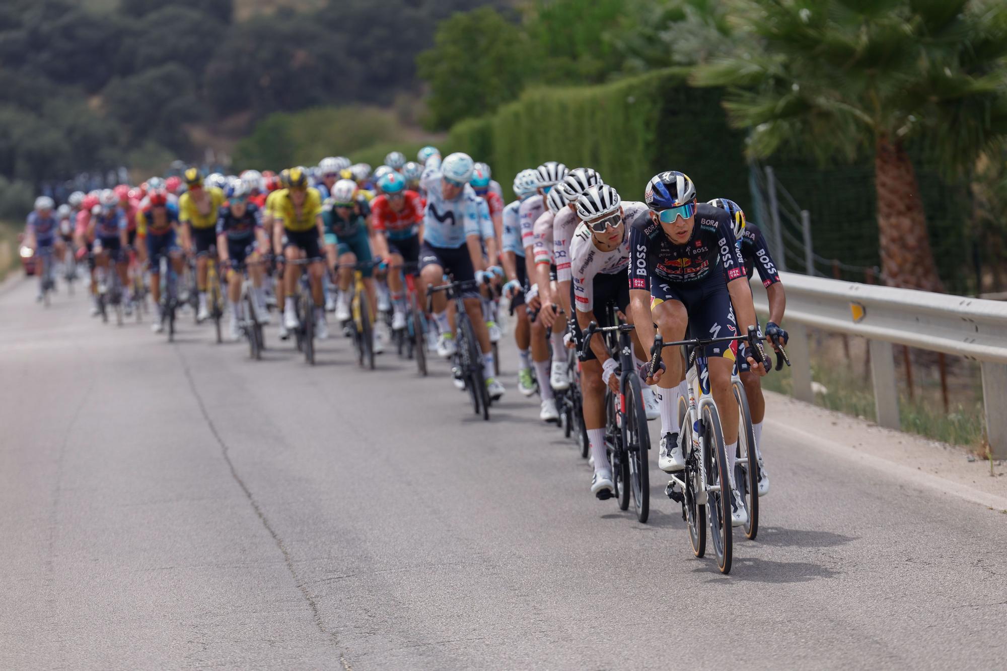 ETAPA 6 . JEREZ DE LA FRONTERA VS YUNQUERA (185,5 KM)