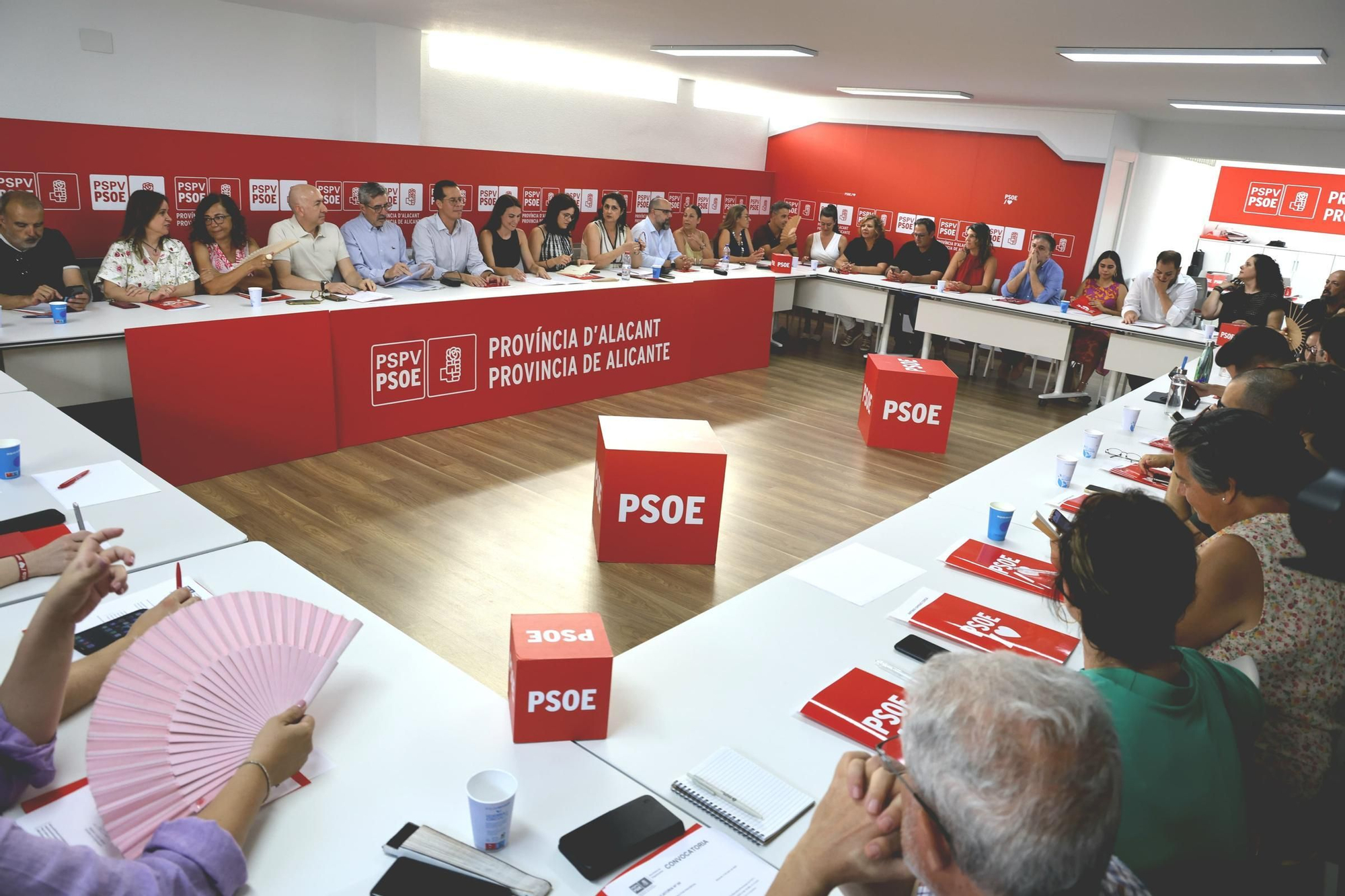 Alejandro Soler renuncia a la presidencia del PSOE de Alicante