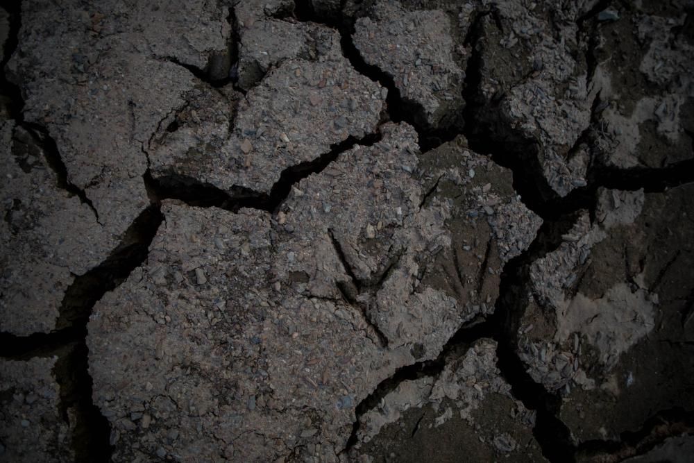 Sequía en Zamora: Mínimos en el embalse del Esla