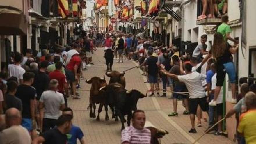 Altura saca a subasta la Comisión de Toros 2024 - El Periódico Mediterráneo