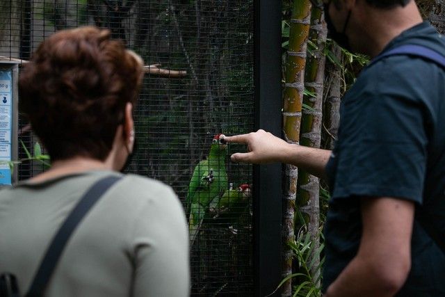 El Loro Parque reabre sus puertas al público después de 13 meses y medio de cierre por el Covid-19